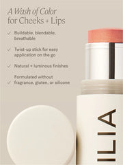 The Beauty of Clean Makeup Set